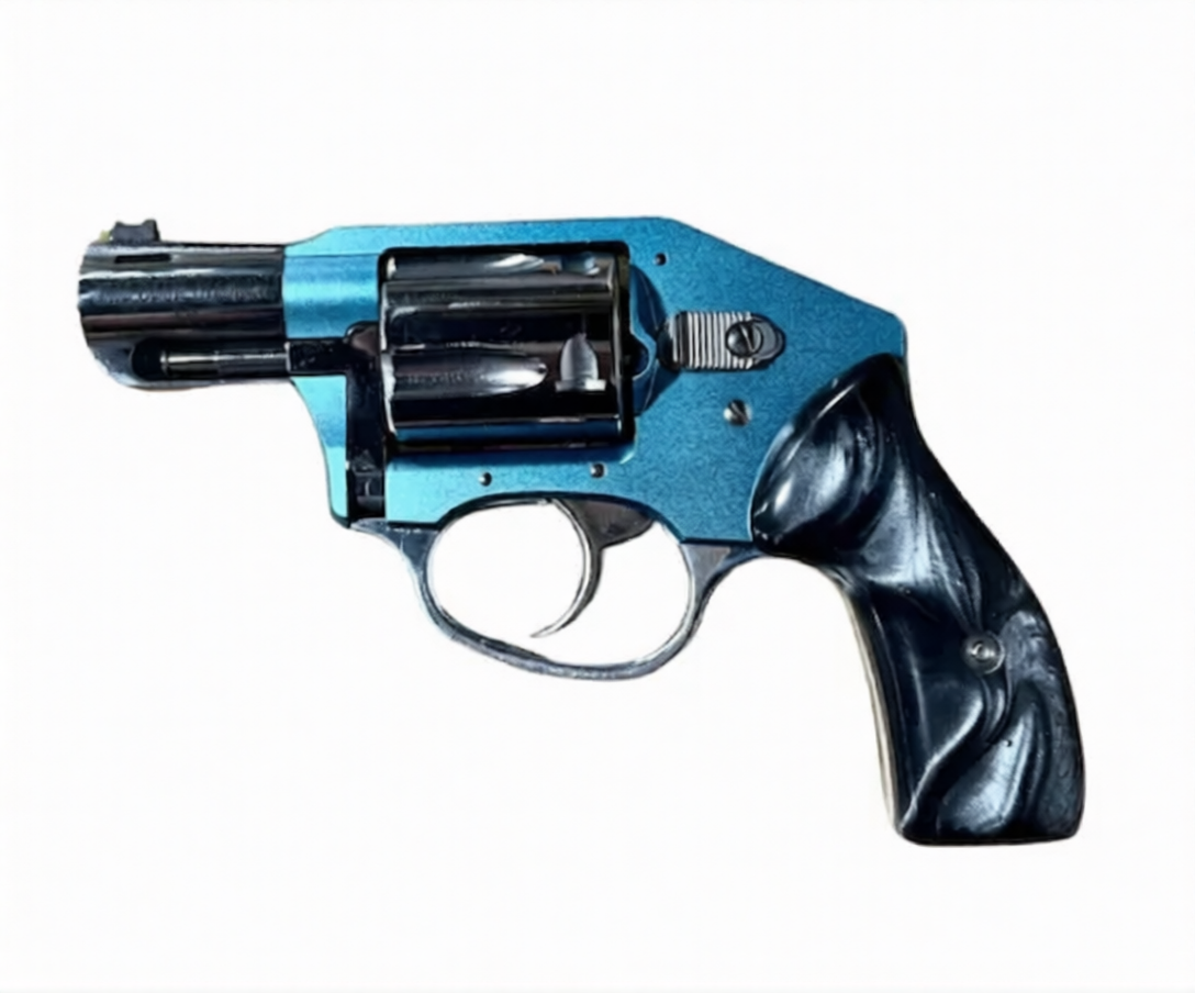 Charter Arms Blue Diamond (53872)