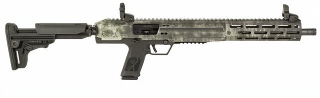 Ruger LC Carbine (19317)